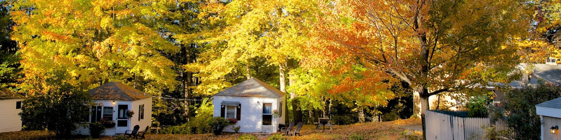 North Conway which includes a house, forests and autumn leaves