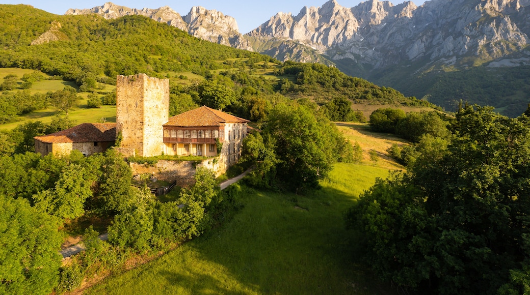 A castle surrounded by lush greenery and mountains in the background.