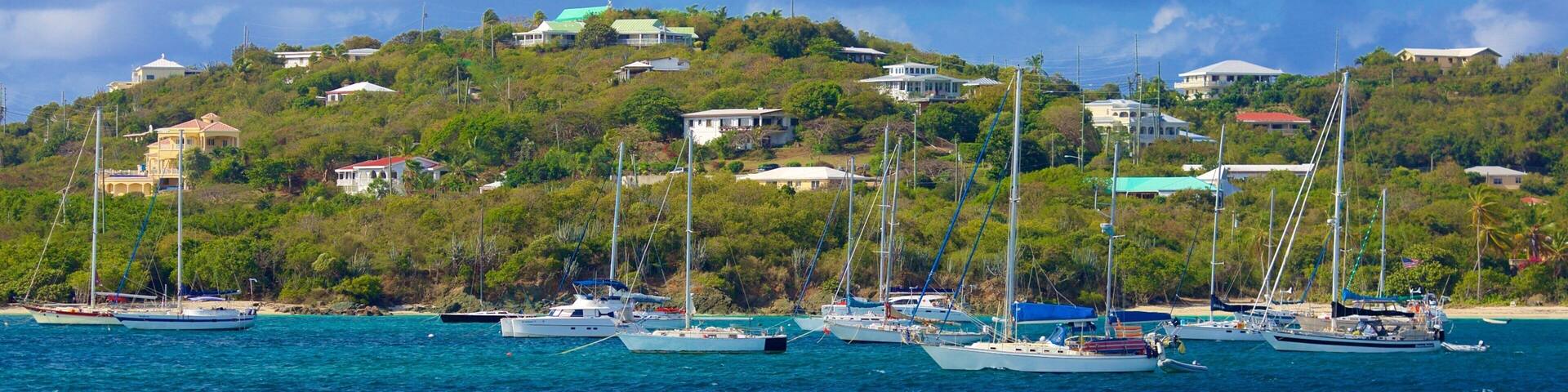 Red Hook mostrando baia e porto