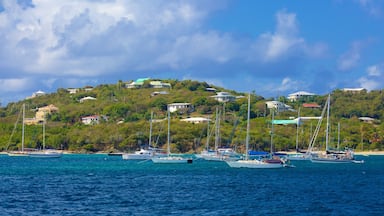 A coastal town with houses on a hillside and several boats anchored in the water.