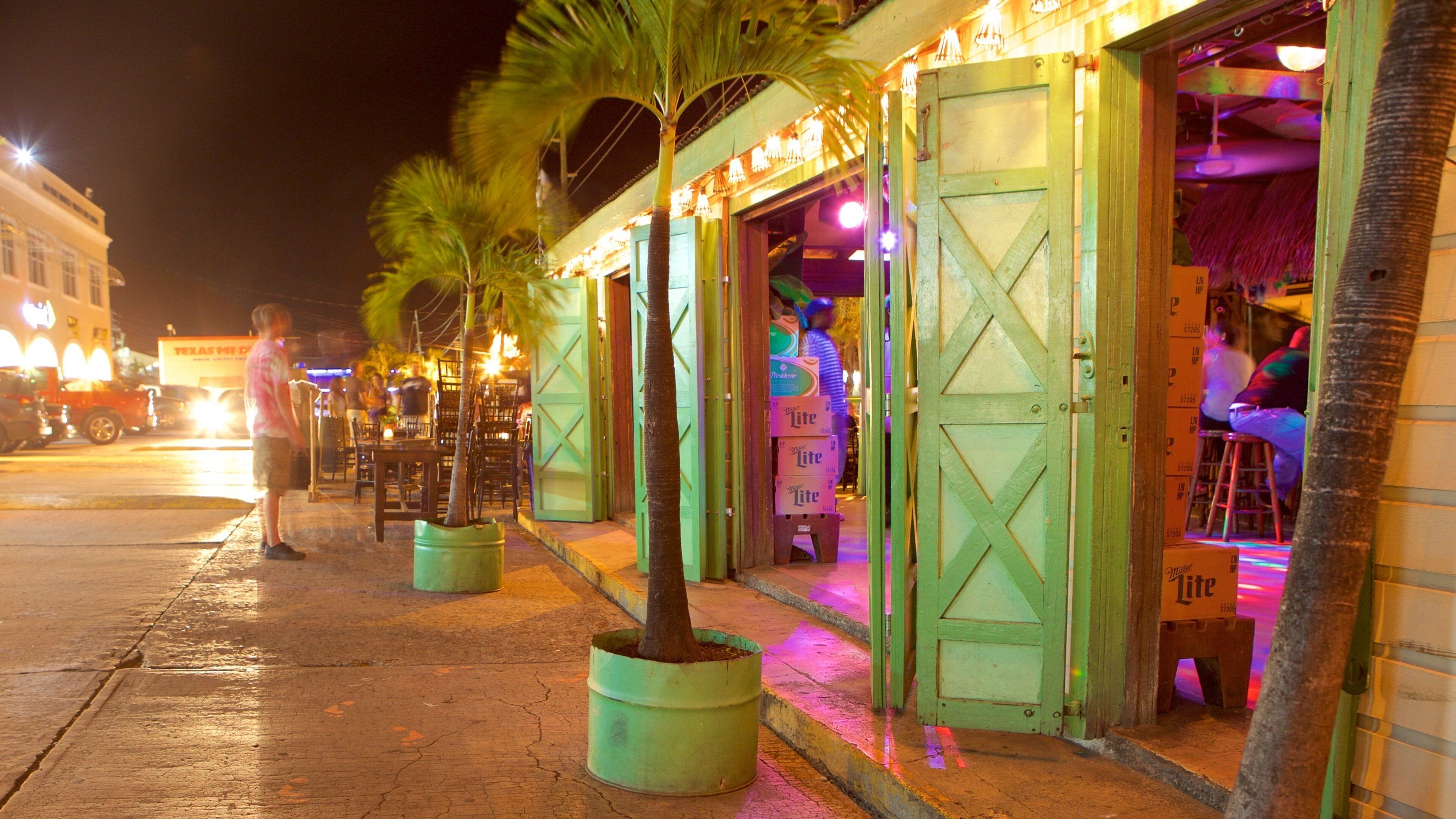 Red Hook showing nightlife and night scenes