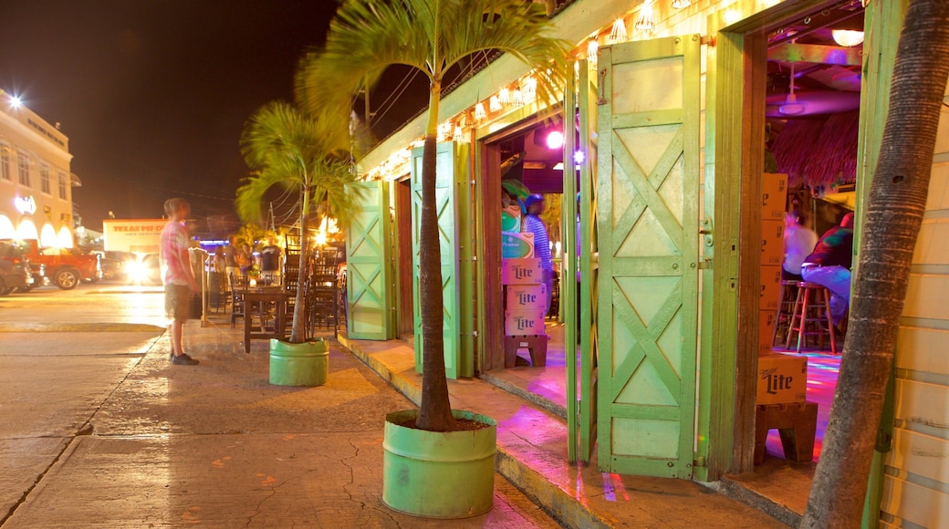 Red Hook showing nightlife and night scenes