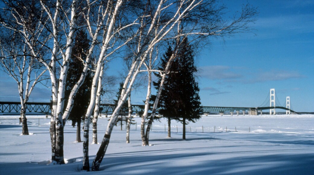 Mackinaw City fasiliteter samt snø, landskap og bro