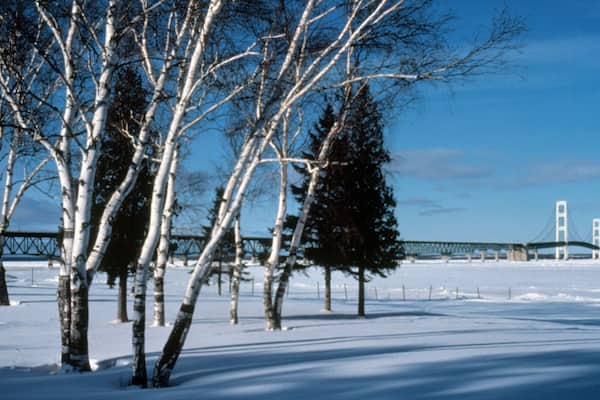 Mackinaw City which includes landscape views, snow and a bridge