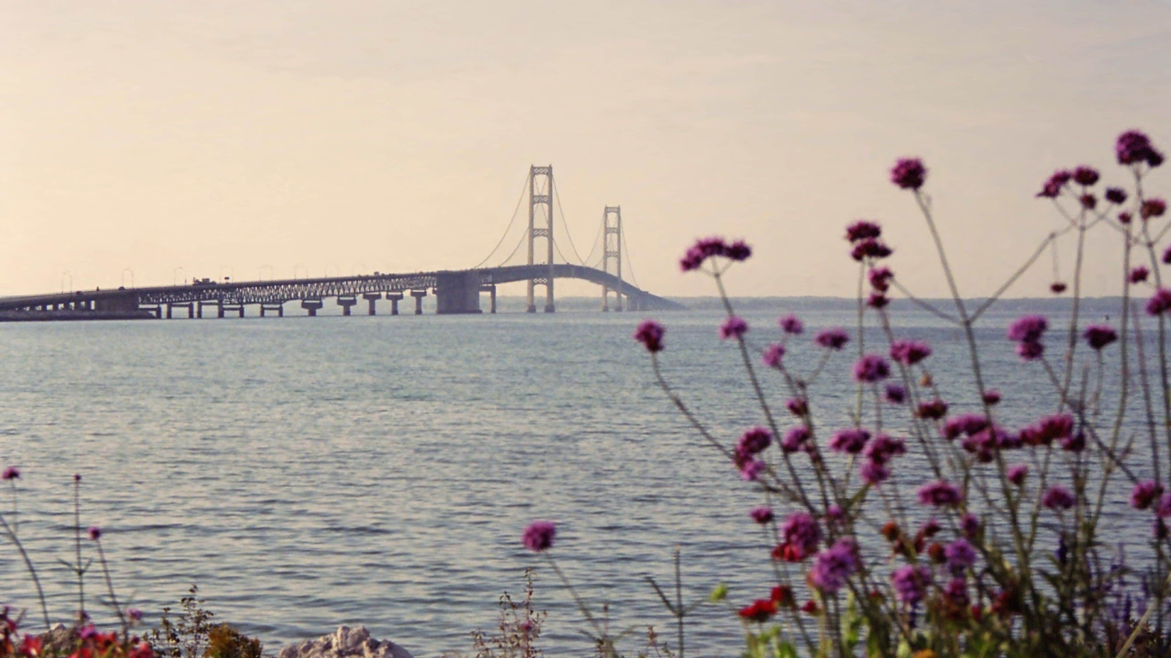 Mackinaw City showing a bridge, flowers and a bay or harbor