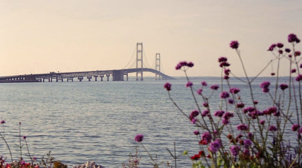 Mackinaw City showing a bridge, flowers and a bay or harbor