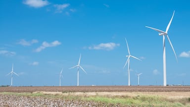 Row of wind turbines with cotton fields again blue cloud sky in Corpus Christi. Enormous size windmill generate clean, sustainable and green energy source. Future of renewable power concept. Panorama
