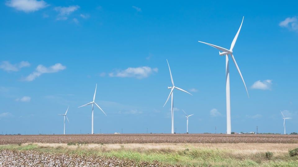 A wind farm with multiple wind turbines in a field under a clear blue sky.