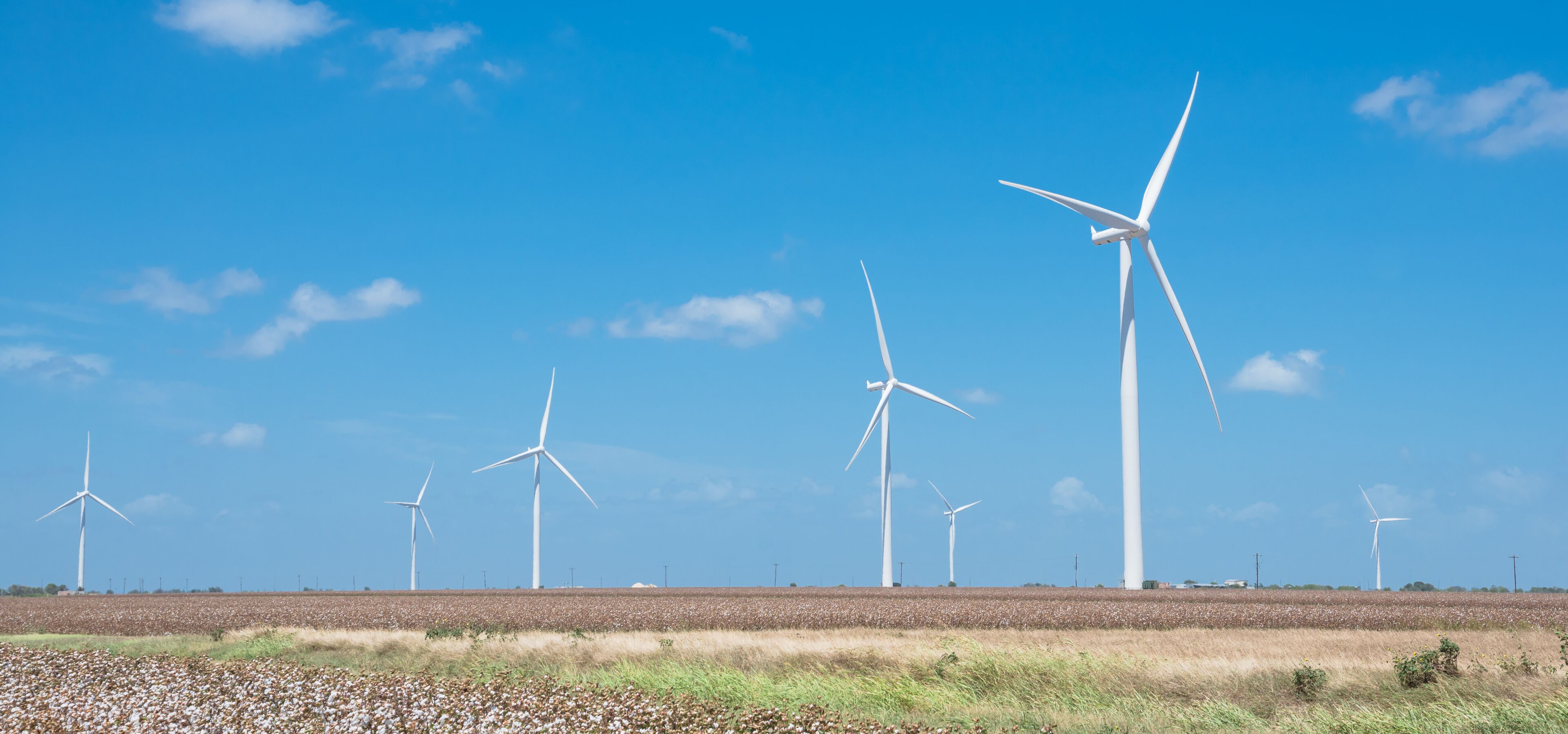 A wind farm with multiple wind turbines in a field under a clear blue sky.
