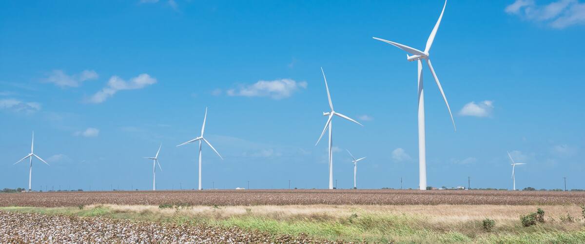 A wind farm with multiple wind turbines in a field under a clear blue sky.