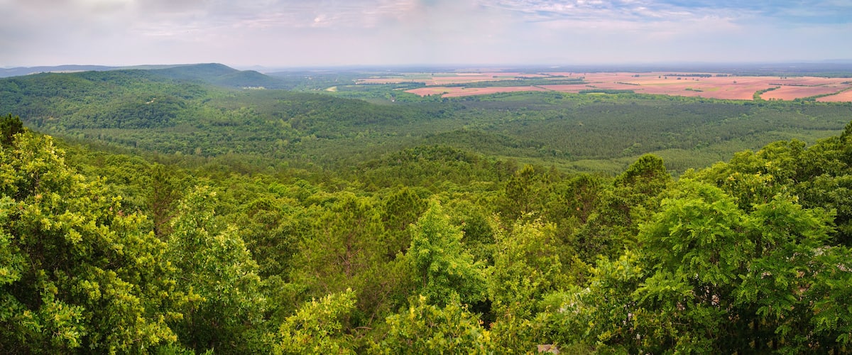 A lush green forest with rolling hills and a distant view of cultivated fields.