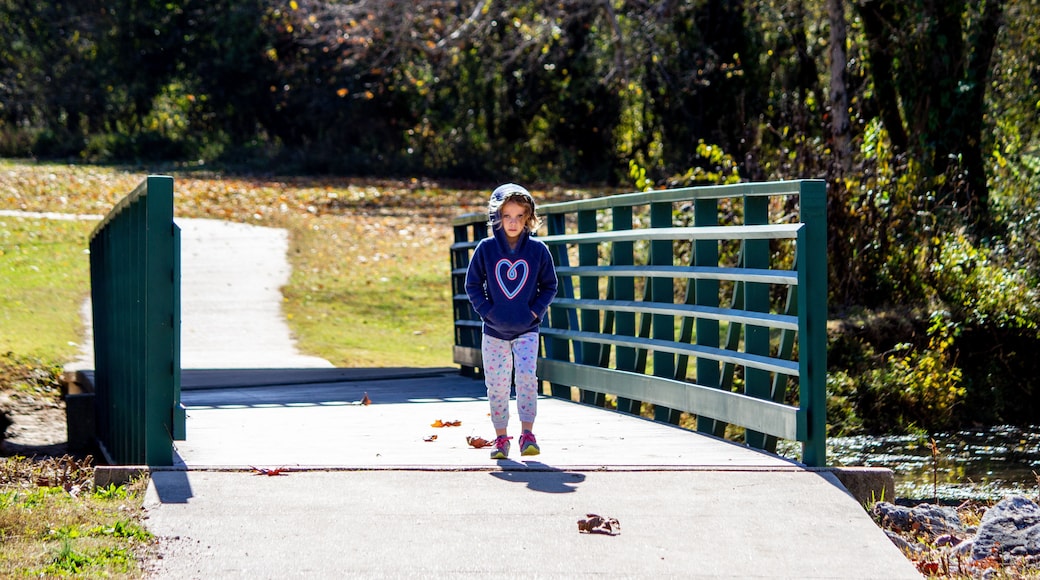 A day in the park in Waynesville Missouri