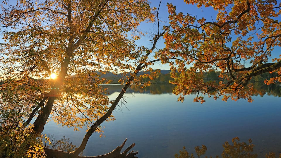 Lake shore in the Fall