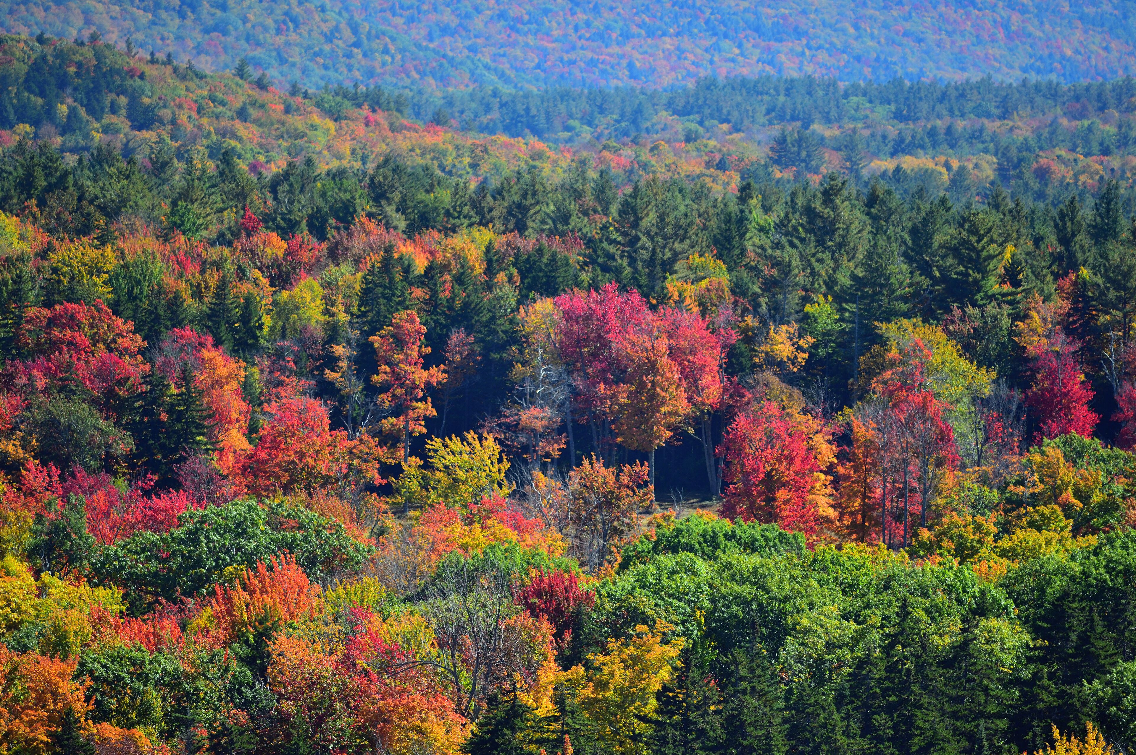 Brattleboro