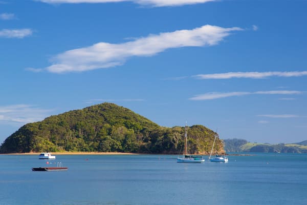 Paihia showing a bay or harbor