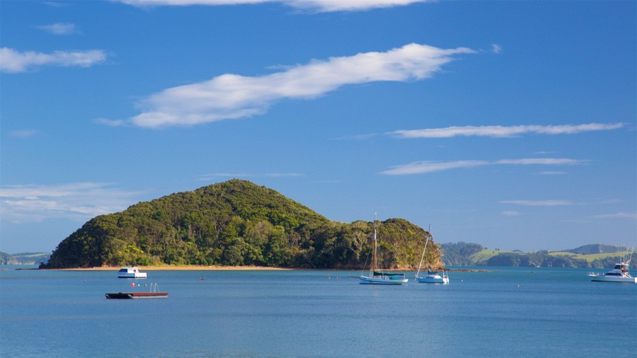 Paihia featuring a bay or harbour