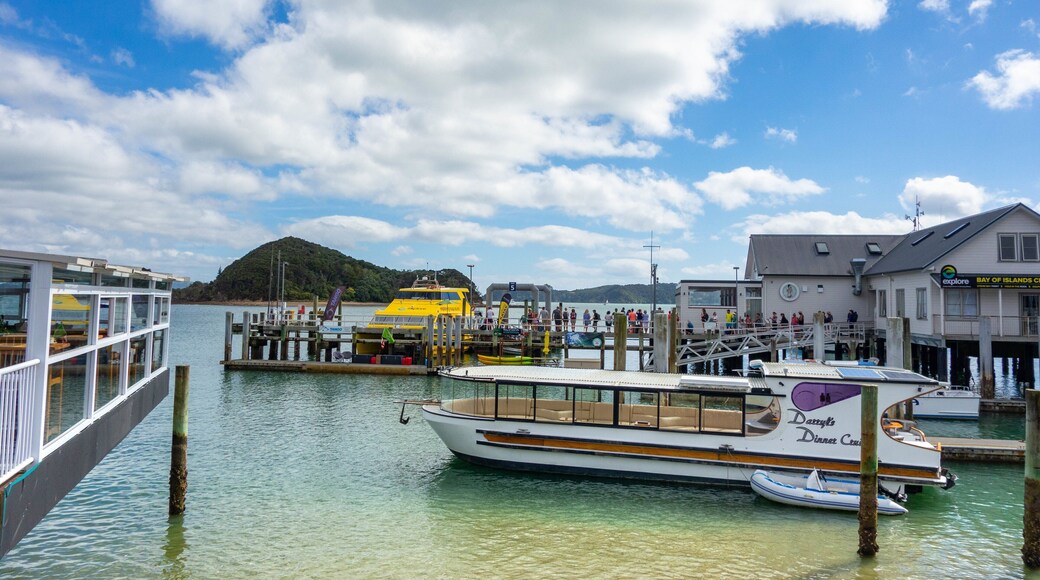 Paihia featuring a bay or harbor