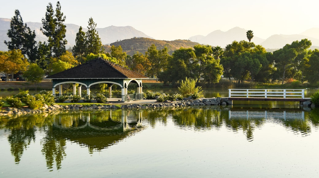 Glorious Afternoon Light at Lindo Lake
