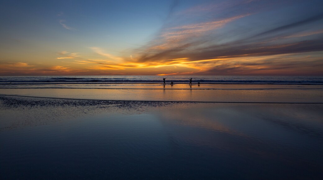 Playing with Dogs in Ocean at Sunset in Del Mar, California