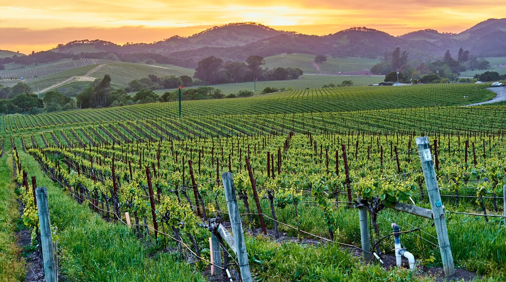 Rohnert Park