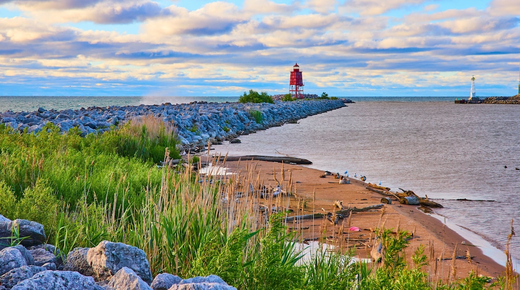 Racine Breakwater Lighthouse at Sunrise with Coastal Vegetation Eye-Level View