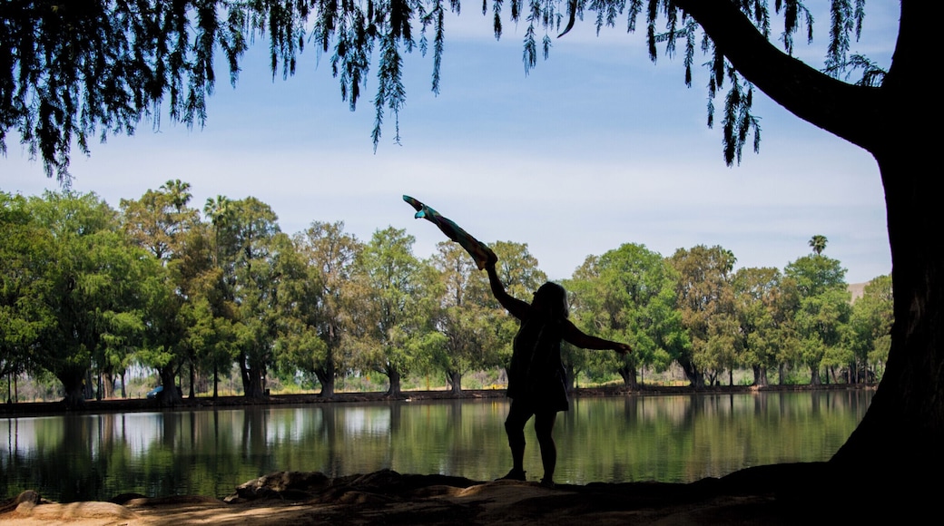 ริเวอร์ไซต์