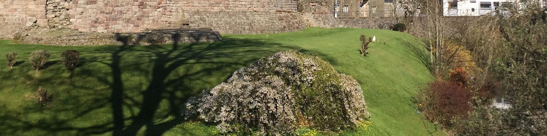 Lovely castle with a pretty moat