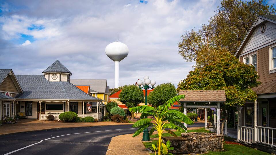 A street with houses, a water tower, and a banana tree.