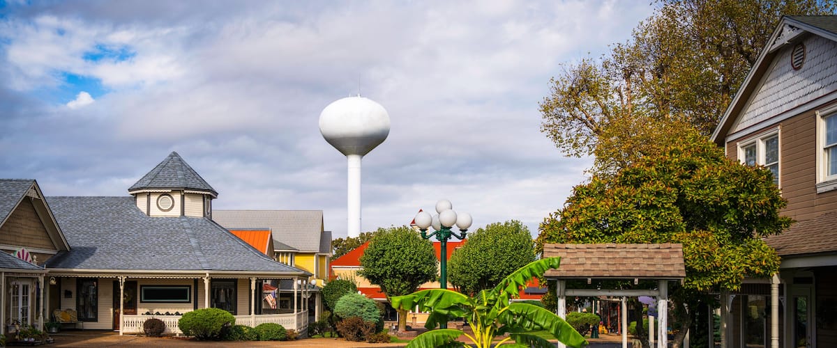 A street with houses, a water tower, and a banana tree.