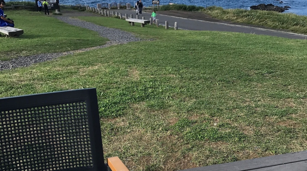 Sukoton-misaki promontry,coffee in northernmost point in JAPAN.