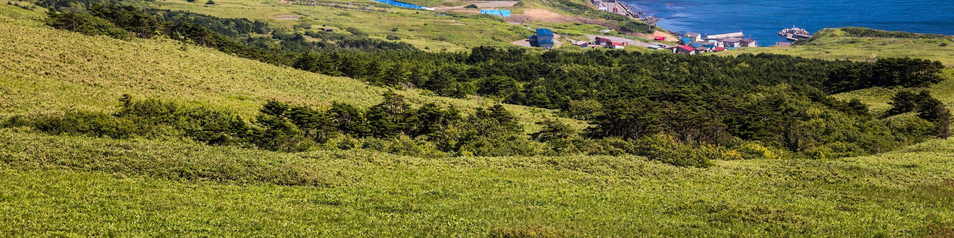 Rolling hills of sasa bamboo grass and wildflowers cover the southern tip of Rebun Island, Japan, village of Shiretokomanai and Mt. Rishiri are in the distance, Shutterstock ID 760781635, Purchase Ord