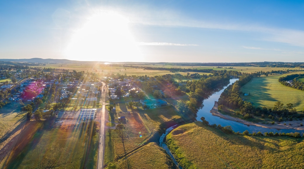 Snowy River bends and Orbost township at sunset - wide aerial panorama