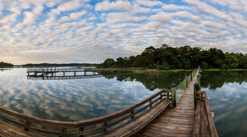 360 panorama of South Carolina