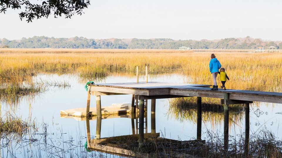 A wooden pier extending into a marshy water body with tall grasses, a clear sky, and distant trees.