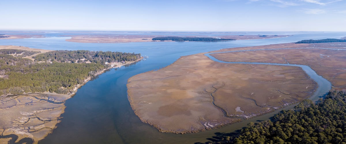 A river winding through a landscape with patches of water, land, and dense forests.