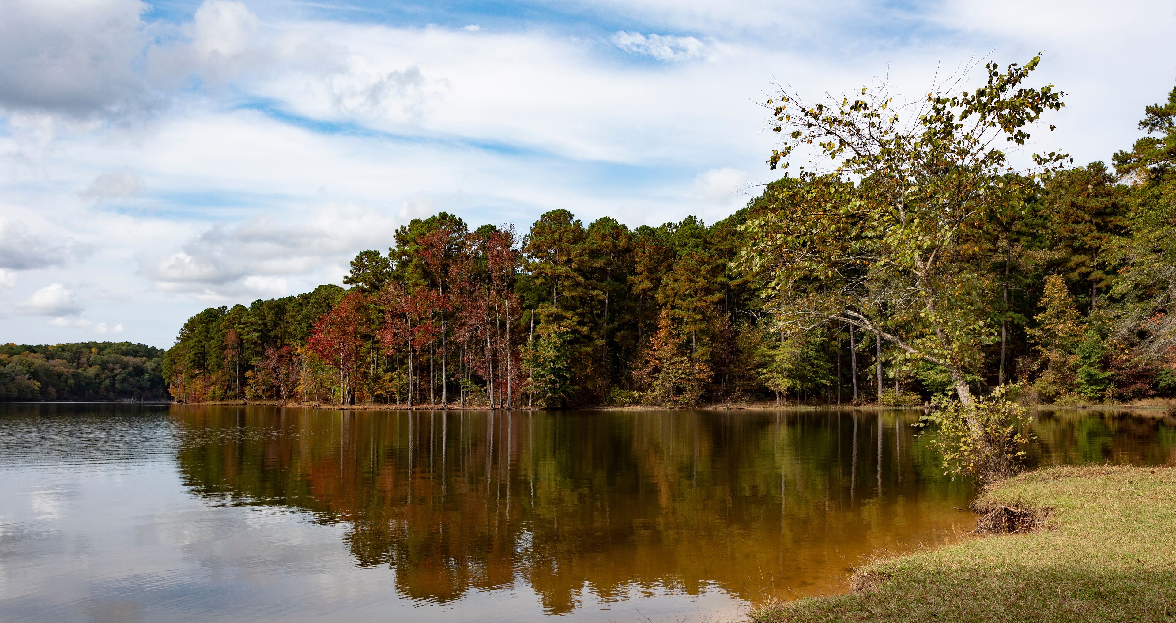 First fall color at Falls Lake North Carolina