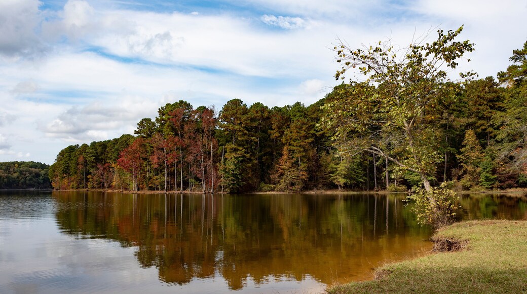 First fall color at Falls Lake North Carolina