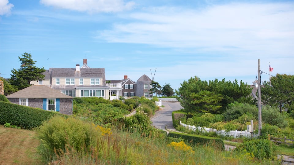 A coastal residential area with houses, a winding road, and lush greenery.
