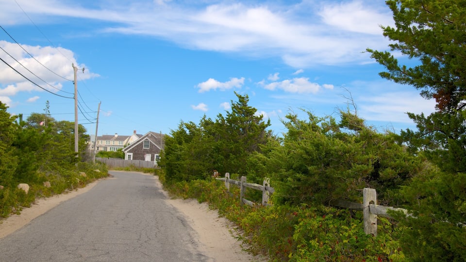 A rural road flanked by greenery and houses.
