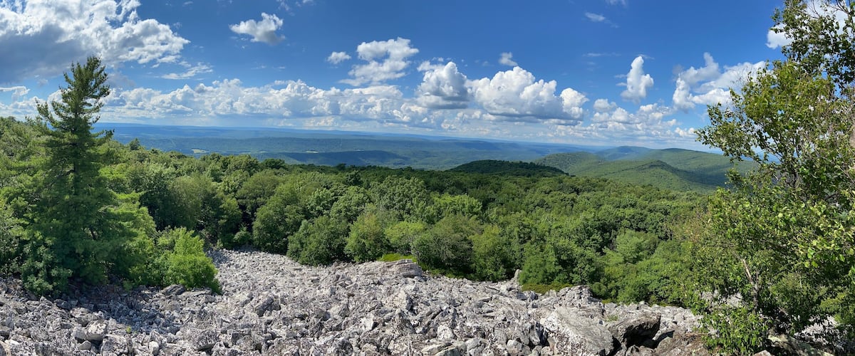 A rocky mountain landscape with dense green forests and a clear blue sky.