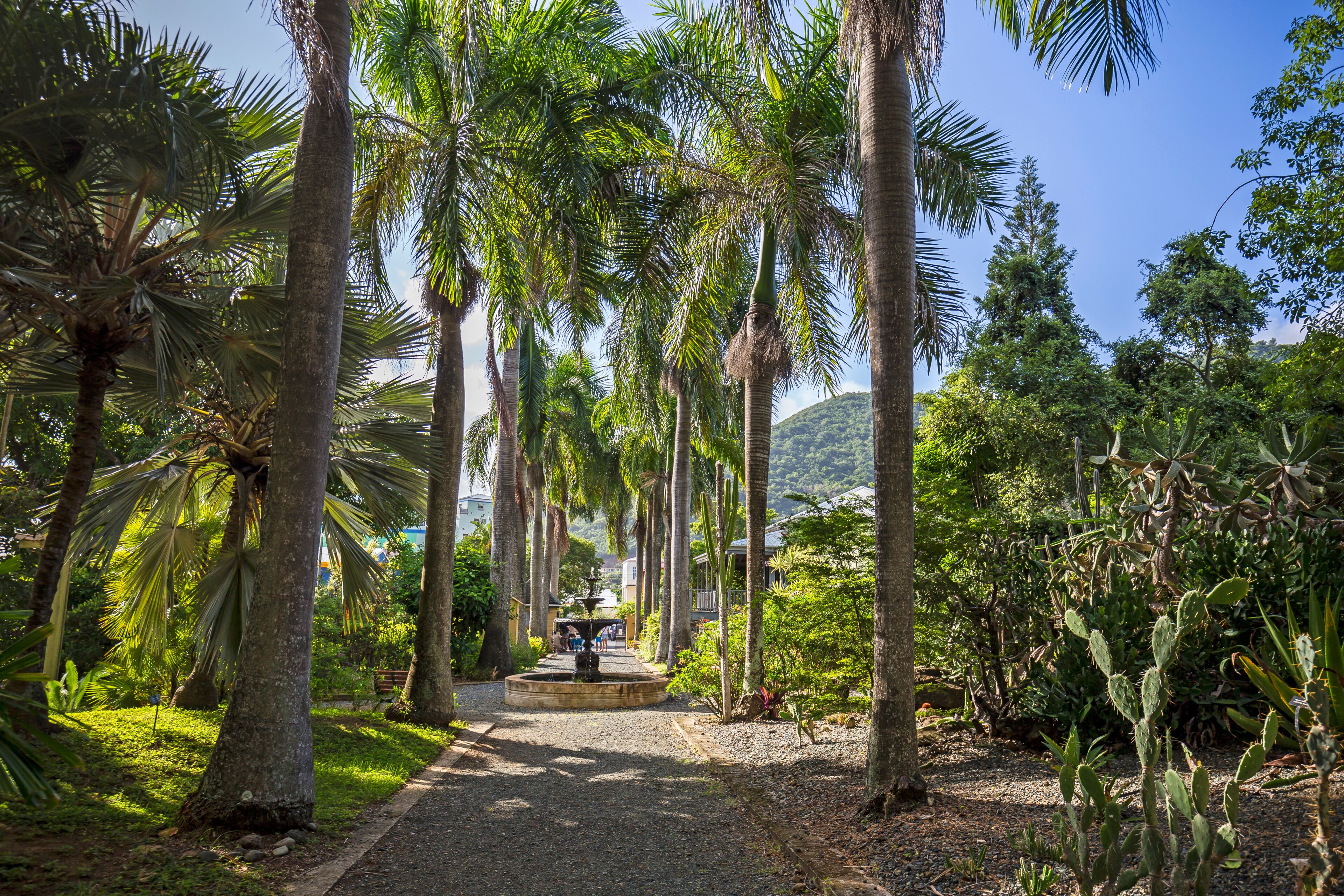 A pathway lined with palm trees leading to a fountain in a tropical garden.