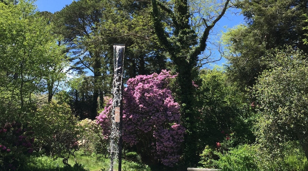 A close up view of the Flume with a giant Rhododendron as backdrop. Picture perfect day on Cape Cod.