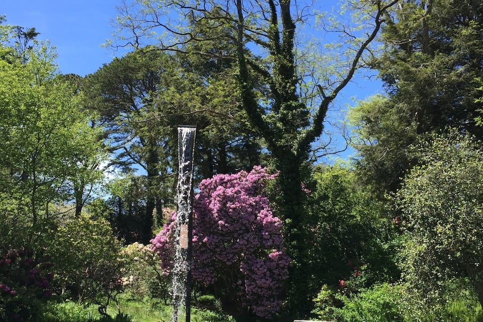 Un estany tranquil ple de nel·les, un arbre alt amb flors roses i una construcció de pedra.