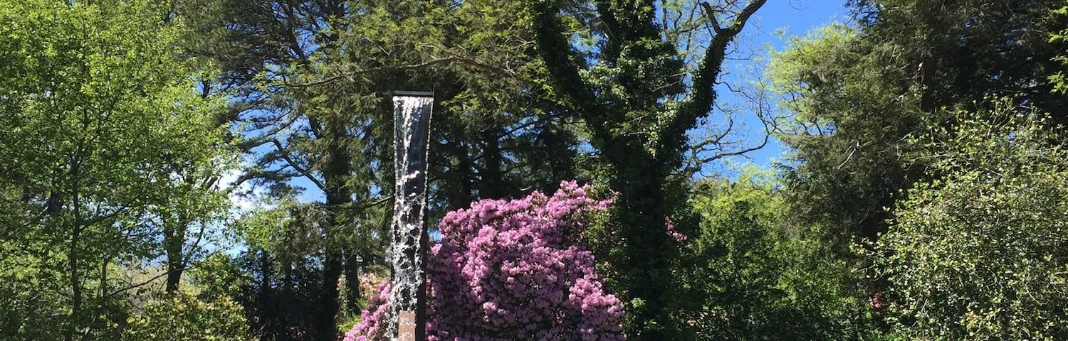 A close up view of the Flume with a giant Rhododendron as backdrop. Picture perfect day on Cape Cod.