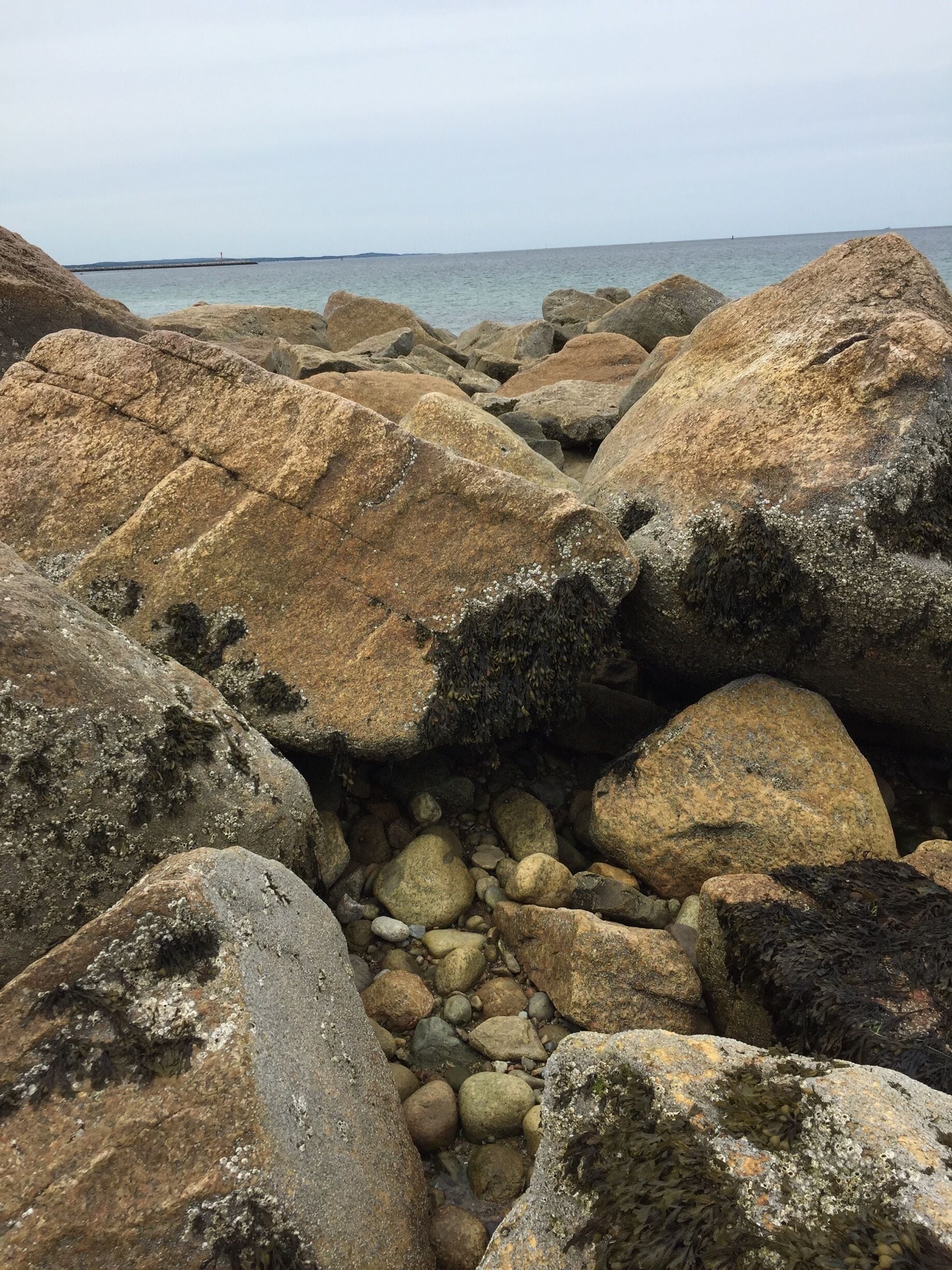 A rocky shoreline with large boulders and a calm sea in the background.