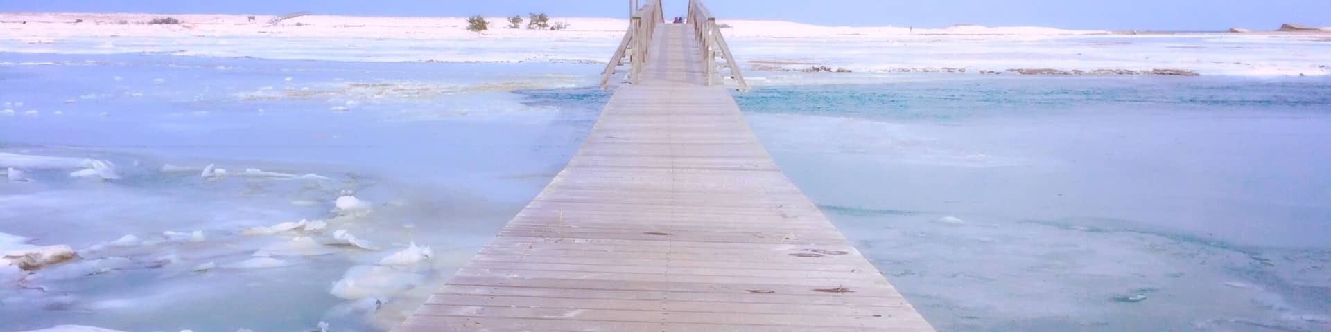 a beautiful walk across the frozen ocean marsh to the bayside #snow
