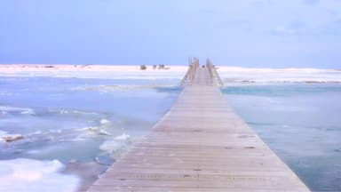 a beautiful walk across the frozen ocean marsh to the bayside #snow