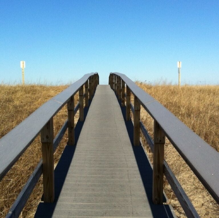 A wooden boardwalk leading through a grassy area with clear skies.