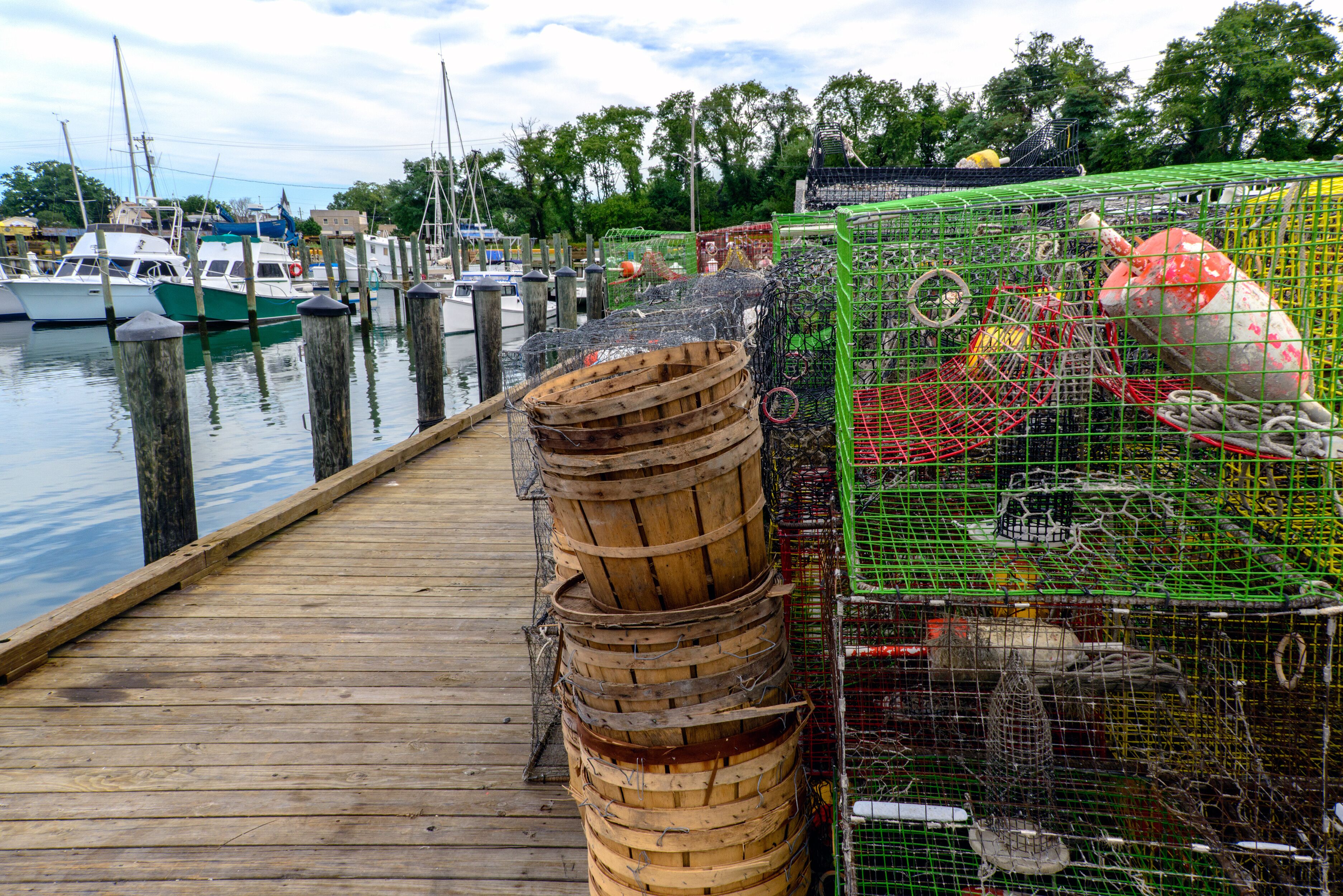 A wooden dock with stacked wooden barrels and a green crab trap.