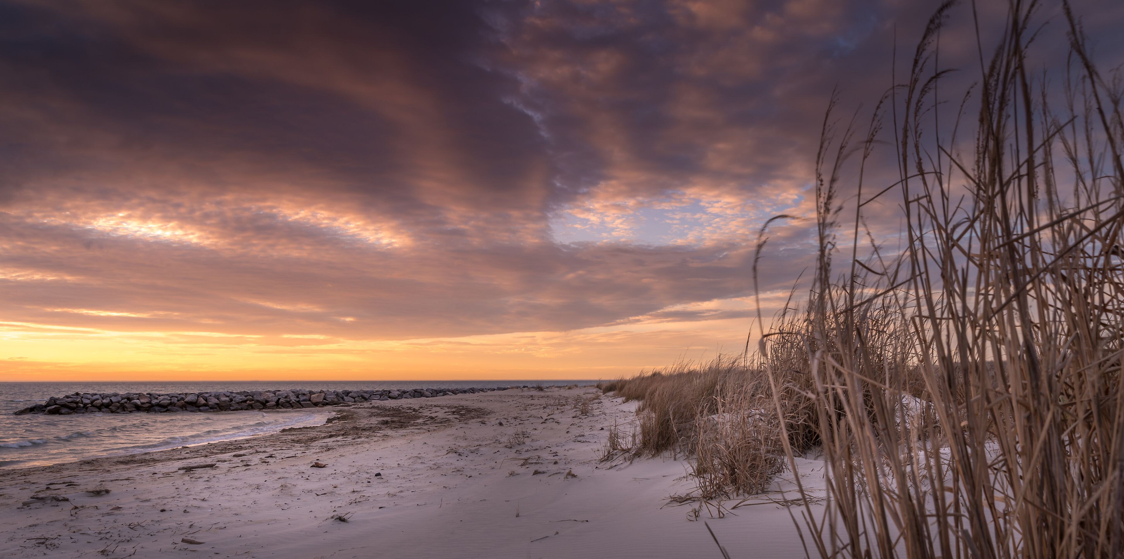 A beach with sand dunes, a rocky breakwater, and tall grasses.